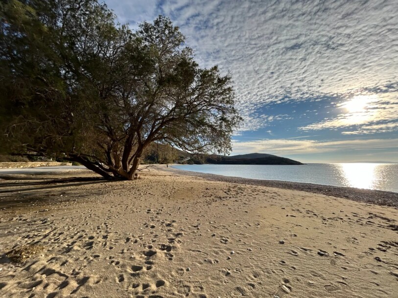 Βίλα, 480τ.μ. Κάτω Φελλός, Άνδρος (Κυκλάδες)-25